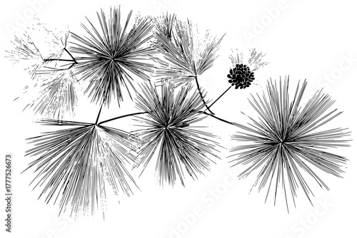 Whispers Pine Forest: Poetic Portrayal Nature's Quiet Symphony | Clean, isolated vector art for creative projects.