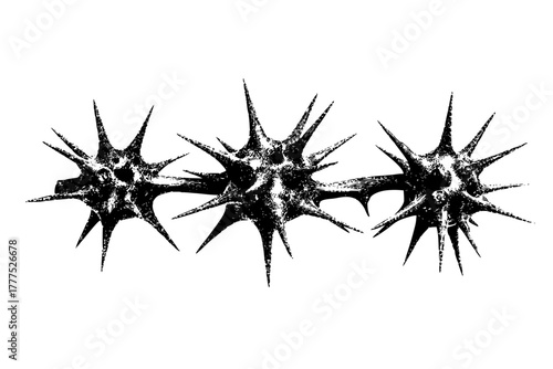 Thorns Agony: Intricate Black White Spikes | Clean, isolated vector art for creative projects.