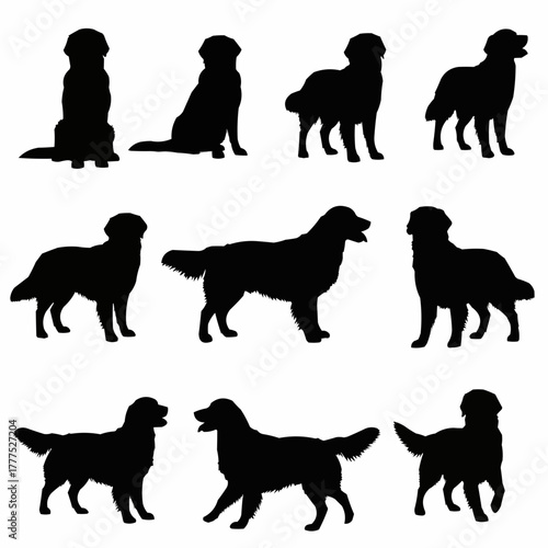 Golden Retriever Dog Silhouette
