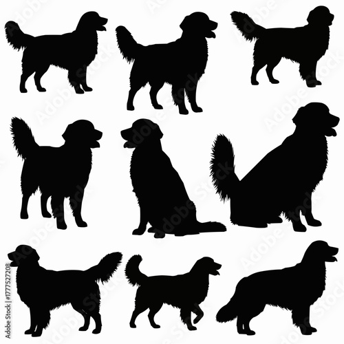 Golden Retriever Dog Silhouette