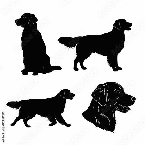 Golden Retriever Dog Silhouette