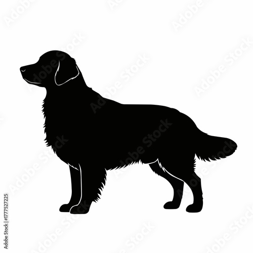 Golden Retriever Dog Silhouette