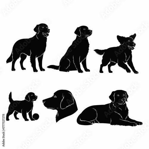 Golden Retriever Dog Silhouette