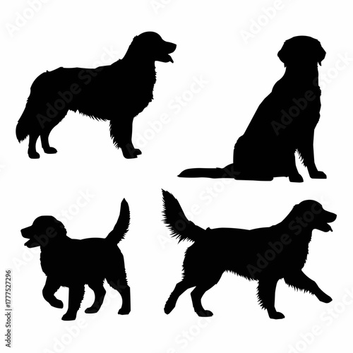 Golden Retriever Dog Silhouette
