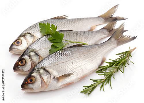 Fresh Raw Fish Isolated On White Background With Silver Scales And Fins