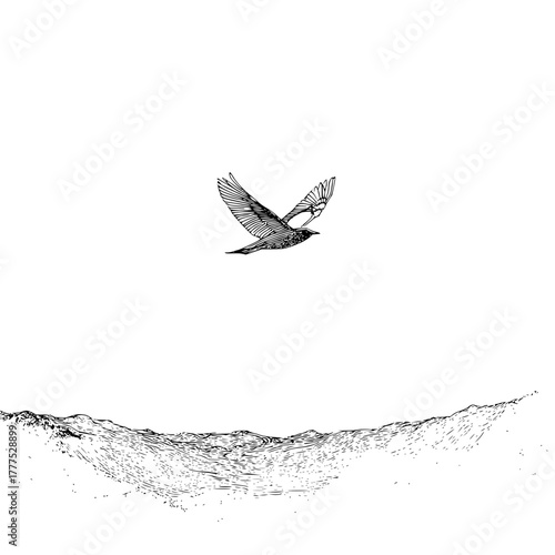 A bird in flight above a sketched ocean landscape with detailed waves and a clear white background scene