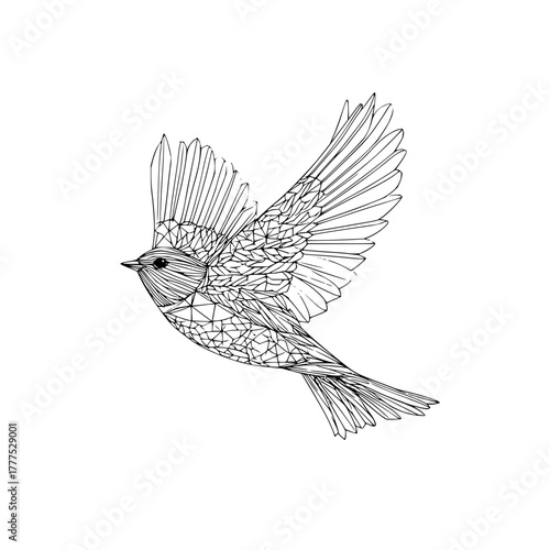 Detailed line art illustration of a bird in flight with geometric patterns on its body and wings spread wide