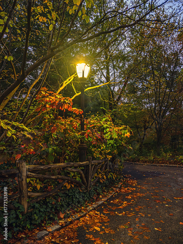 Autumn in Central Park