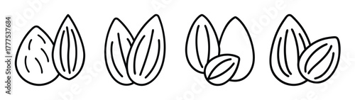 Almond nut outline drawing vector illustration, healthy snack food ingredient, organic nuts seeds