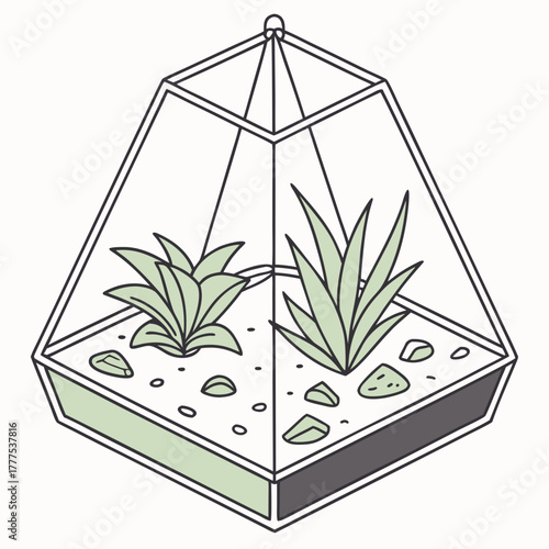 Isometric Hanging Terrarium Line Art Vector with Succulent Plants and Rocks