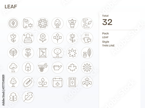 Leaf Vector Icon Collection featuring 32 Pixel Aligned 256x256 Thin Line Designs