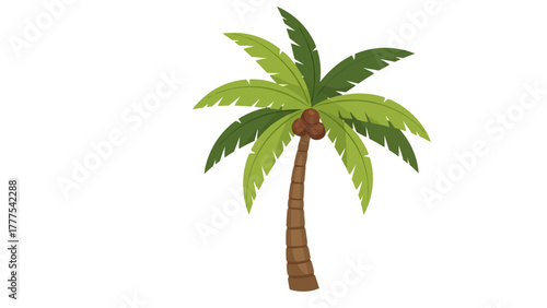 A brown palm tree with coconuts and green leaves