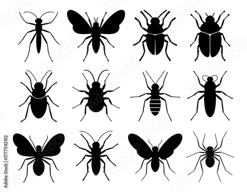 Bug and Insect Vector Set – Black Silhouette Illustrations of Various Creepy Crawlies and Flying Species
