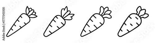 Four carrot vegetable outline vector illustration for coloring book page and design element