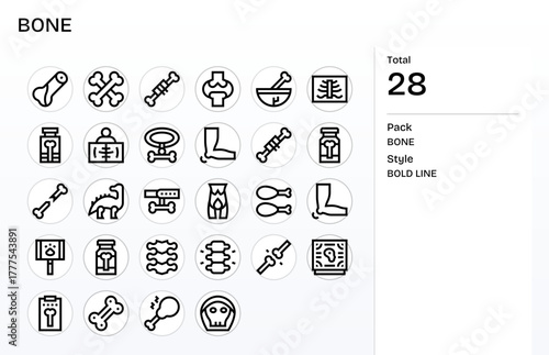 Bone Premium Vector Bundle with 28 64x64 Pixel Optimized Bold Line Icons