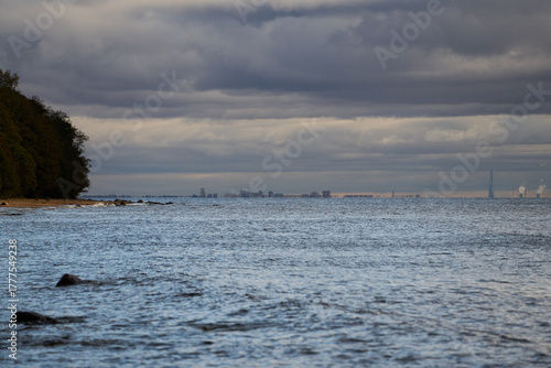 Distant city skyline across sea with forested coastline under cloudy sky.