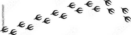 Animal Tracks Doodle. Animal Tracks. Hand-drawn doodle illustration Animal Tracks paw print footprint snow trail forest rabbit deer fox bear bird squirrel