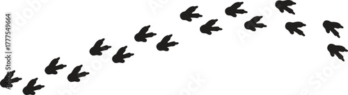 Animal Tracks Doodle. Animal Tracks. Hand-drawn doodle illustration Animal Tracks paw print footprint snow trail forest rabbit deer fox bear bird squirrel