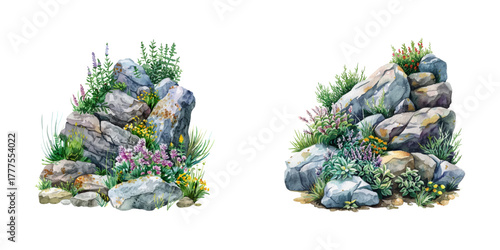 rock garden watercolor vector illustration