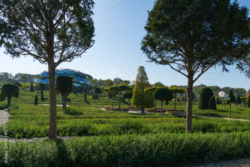 Bild auf Leinwand Landscaped city park Krasnodar or 'Galitsky park' with manicured hedges, topiary