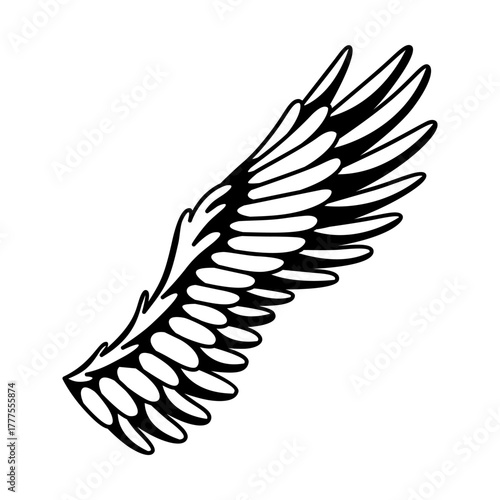 Wings sketch. Stylized birds wings. Hand drawn contoured stiker wing in open position. Vector design elements in coloring style
