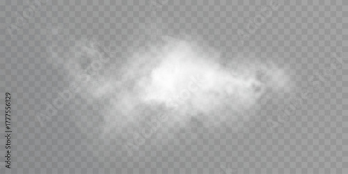 Quadro em tela Realistic soft white smoke cloud on transparent background, airy mist element for weather, magic, explosion or decor scenes