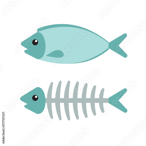 whole fish and fish bones, vector illustration 