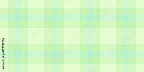 Lady textile tartan check, twill plaid fabric pattern. Expensive seamless vector texture background in light and green colors.