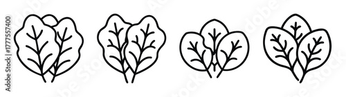 Vector illustration of spinach leaves for healthy eating recipes and organic food designs use, art 