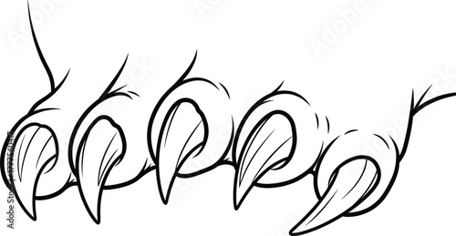 Bird claw vector illustration, sharp talon design, curved predator claws, black and white line art, avian anatomy, wild animal graphic