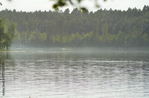 Forest lake on a summer evening. The surface of the water is covered with small waves, the light sky is reflected from the surface, painting the water white. On other side of lake there is a forest.