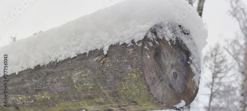 A wooden pole. A winter day. A large wooden log lies horizontally on a structure, covered in snow. The tree has turned black with age and is covered with green moss.