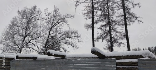 Wooden posts. A winter day. Large wooden logs lie horizontally on a structure, covered in snow. The wood has turned black with age and is overgrown with green moss.