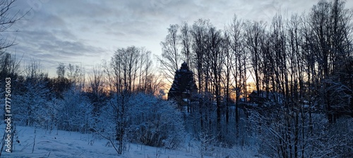 Winter sunset behind the trees. Tall trees with long trunks and bare branches grow next to each other. Behind the trees you can see the sunset among the clouds. Above the trees the sky is clear.