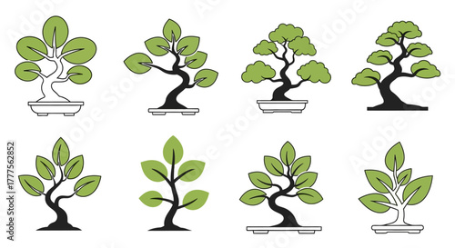 Collection of stylized bonsai trees in various shapes, with green leaves, and dark trunks.