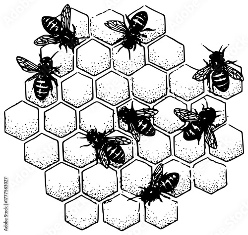 A swarm of bees fly to a honeycomb to work