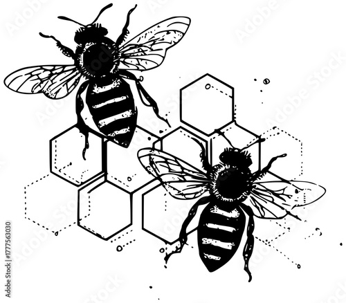 Bees collect honey on honeycombs