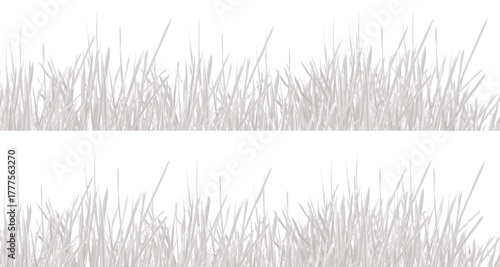 Green grass field vector illustration on white background