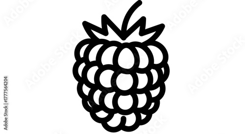 Black and white line drawing of a raspberry with leaves on top.