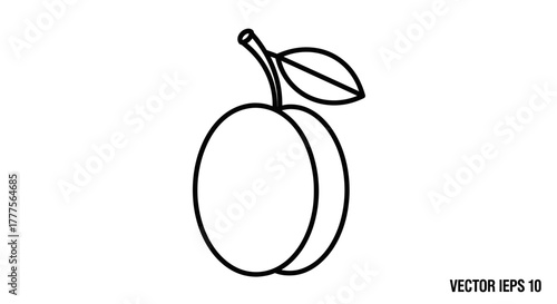 Simple line drawing of a plum with a leaf and stem, isolated on a white background.