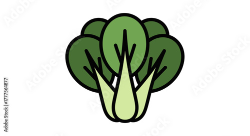 A stylized illustration of a bok choy vegetable, showing its leaves and stem.