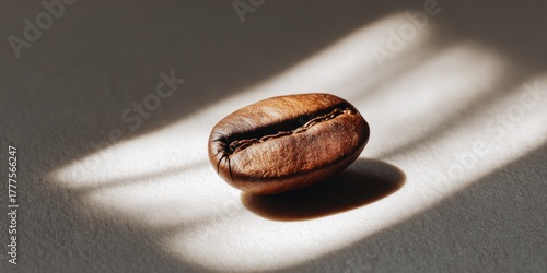 Close-Up of Coffee Bean Highlighted by Soft Natural Light