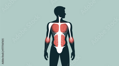 Human Torso Pain Zones with Highlighted Areas Illustration