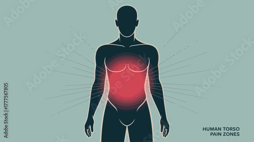 Human Torso Pain Zones with Highlighted Areas Illustration