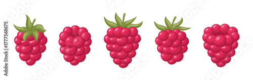 Set of raspberries. Vector clipart.