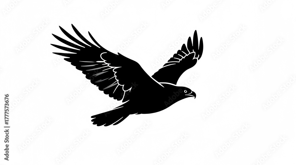 Obraz premium eagle in flight