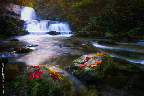 Beautiful autumn waterfall and changing leaves
Photo of a waterfall in Bangdong Valley, Bangtaesan Mountain, during autumn near Inje, South Korea.