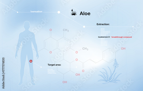 Scientific infographic illustrating the extraction and therapeutic potential of Aloe vera 