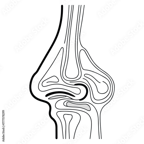 cartoon noses with internal structures and colored nasal passages illustration human.