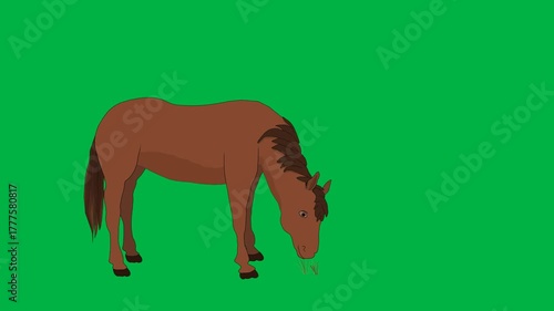 Strong 2D animated cartoon brown horse stands proudly on a green screen chromakey background, perfect for equestrian themes, farm animals, or powerful character animations in storytelling